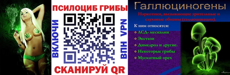 Псилоцибиновые грибы прущие грибы  Любань 